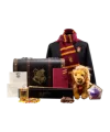 Gryffindor Gift Trunk $59.40 Collectables